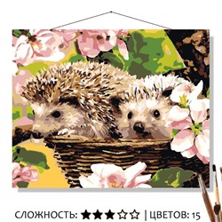 «ЁЖИКИ»