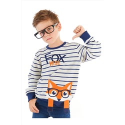 DenokidsTilki Çizgili Erkek Çocuk Sweatshirt