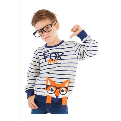 Denokids Tilki Çizgili Gri Lacivert Erkek Çocuk Sweatshirt CFF-21S1-103