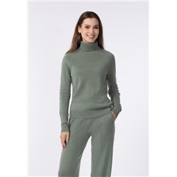 W24-00CH0118 Свитер-водолазка