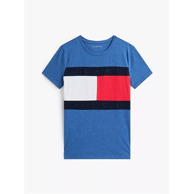 Bold Flag Logo Crewneck T-Shirt