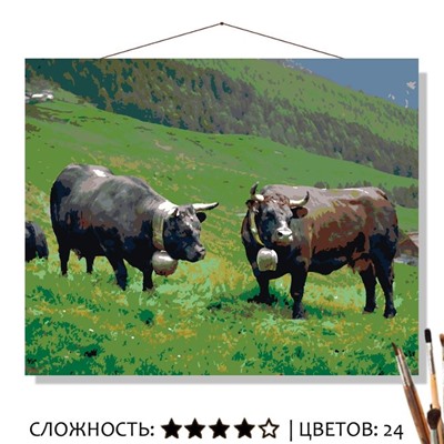 «АЛЬПИЙСКИЕ ЛУГА»