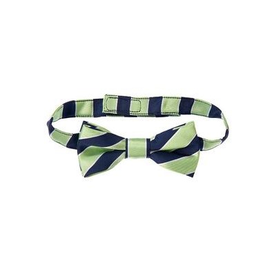 Striped Bow Tie