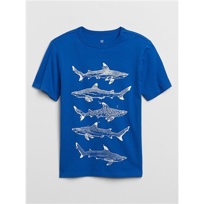 Kids Short Sleeve Graphic T-Shirt