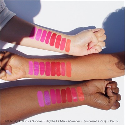 Succulent Ultra Matte Lip