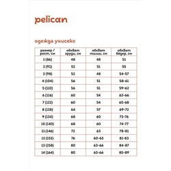 Худи PELICAN, 1067209