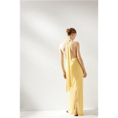 HALTERNECK OPEN BACK LONG DRESS