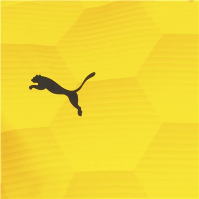 PUMA teamFINAL Graphic Jersey Herren Trikot 704150-07