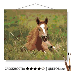 «МОЛОДАЯ ЛОШАДКА»