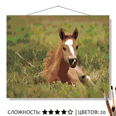 «МОЛОДАЯ ЛОШАДКА»