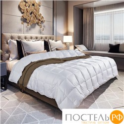 122195102-FP Пуховое одеяло Felicia Premium 140х205 белый