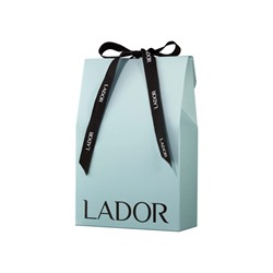 La'dor SMALL GIFT PACKAGE BLUE WITH RIBBON X 2 ROLLS Подарочный пакет 1шт