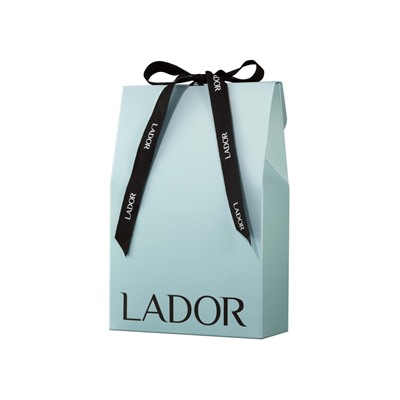 La'dor SMALL GIFT PACKAGE BLUE WITH RIBBON X 2 ROLLS Подарочный пакет 1шт