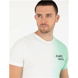 Açık Yeşil Slim Fit Degrade Geçişli Bisiklet Yaka Tişört