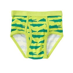 Gator Brief