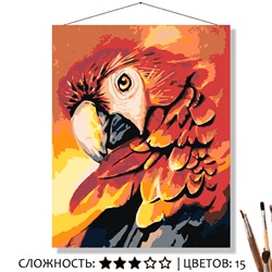 «КРАСНЫЙ ПОПУГАЙ»