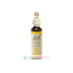 Fleurs de Bach Gorse (ajonc) Espoir et certitude 20ml