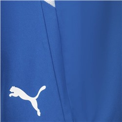 PUMA teamLIGA Herren Shorts 704924-35