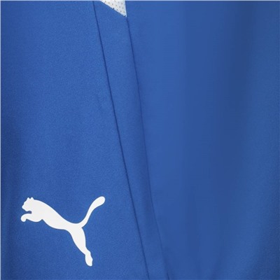 PUMA teamLIGA Herren Shorts 704924-35
