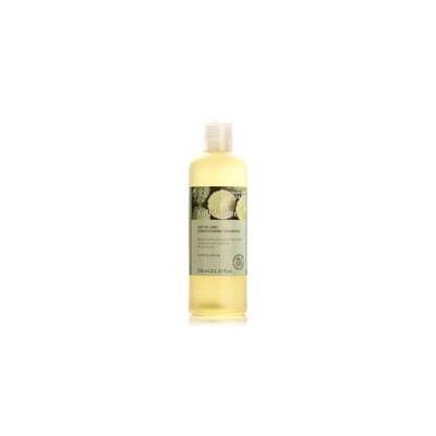 Органический антибактериальный шампунь с киффир-лаймом Bynature 320 мл/Bynature kaffir lime conditioning Shampoo 320 ml