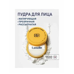 Perfect Sebum Cut Powder Матирующая пудра против жирного блеска