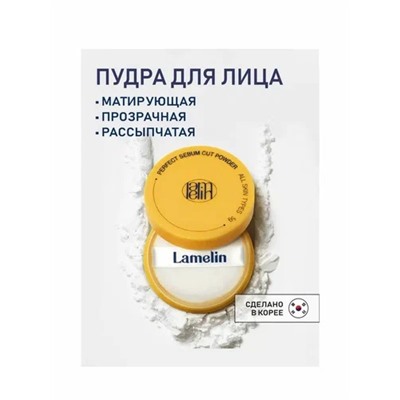 Perfect Sebum Cut Powder Матирующая пудра против жирного блеска