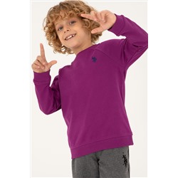 Erkek Çocuk Menekşe Basic Bisiklet Yaka Sweatshirt
