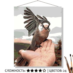 «ПТИЦА НА РУКЕ»