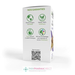 ArkoPharma ArkoGélules - Gingembre - Etat Nauséeux - 40 gélules