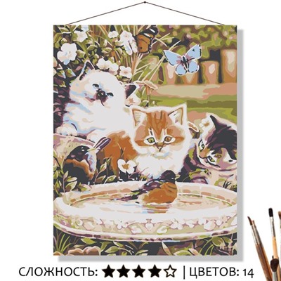 «ТРИ КОТЁНКА»