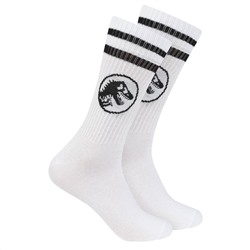 Jurassic World Herren Sportsocken 2 Paar 93892320-gestreift