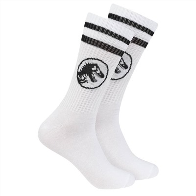 Jurassic World Herren Sportsocken 2 Paar 93892320-gestreift