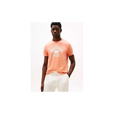Hilfiger 1985 Logo T-Shirt