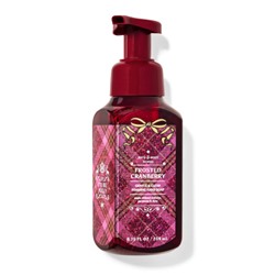 Frosted Cranberry Gentle & Clean Foaming Hand Soap