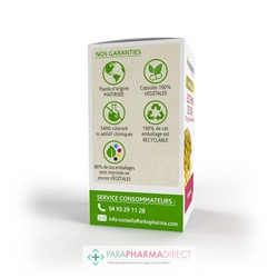ArkoPharma ArkoGélules - Lécithine De Soja - Glycine Max - 150 Capsules