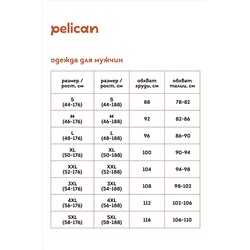 Шорты PELICAN, 965563