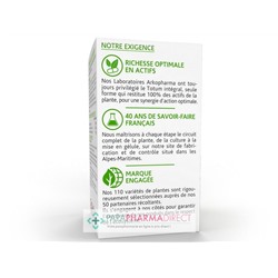 ArkoPharma ArkoGélules - Thé Vert - Brûleur de Graisses - BIO 130 gélules