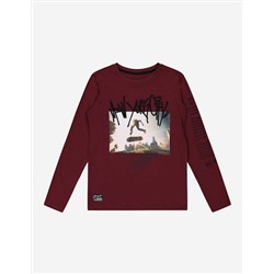 Jungen Langarmshirt - Stickereien