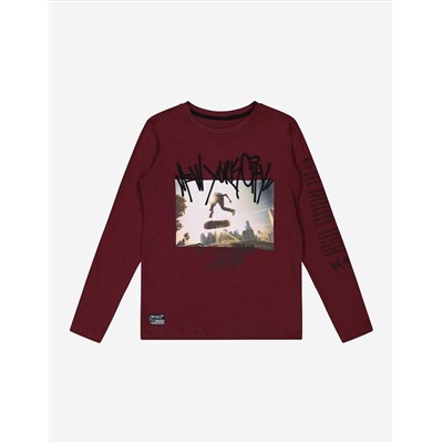 Jungen Langarmshirt - Stickereien