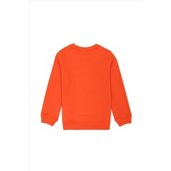 Erkek Çocuk Turuncu Basic Sweatshirt