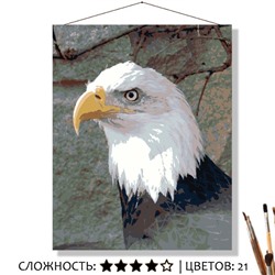 «ВЗГЛЯД ОРЛА»