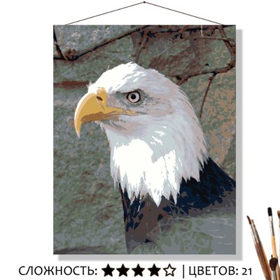 «ВЗГЛЯД ОРЛА»