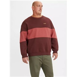 COLORBLOCKED TIPPED CREWNECK SWEATSHIRT (BIG)