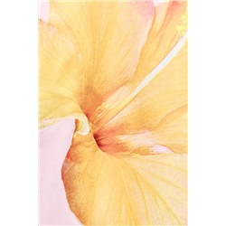 POLYAMIDE FLORAL T-SHIRT