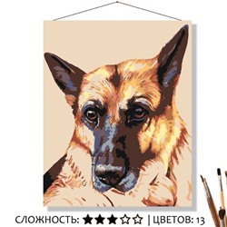 «ОВЧАРКА»