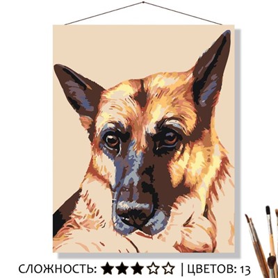 «ОВЧАРКА»