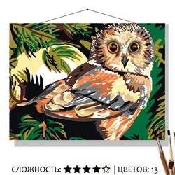 «СЫЧ»