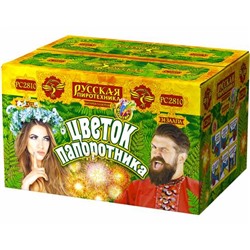 Фейерверк + фонтан РС2810 Цветок папоротника (1" х 34)