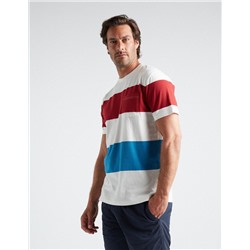 Striped T-shirt, Men, Multicolour