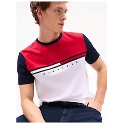 Colorblock Flag Stripe Logo T-Shirt